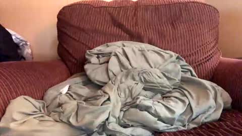 Mr. Perfect Dick online show from March 10, 8:46 pm