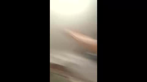 lola...and...thiggy online show from April 3, 2:13 pm