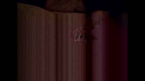 Bi anal play online show from November 2, 2:55 am