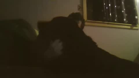 The Pen is Mightier than Sword online show from February 2, 3:59 am