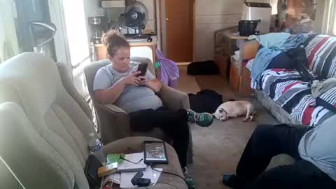 Tim  Amanda online show from July 22, 3:58 pm