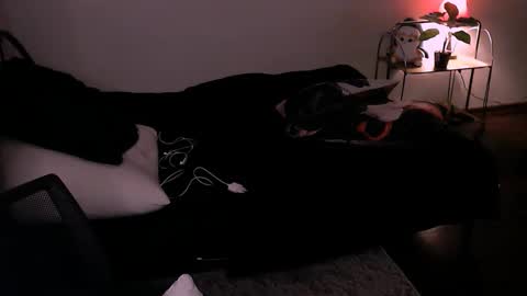 timi_moon online show from November 7, 9:50 pm