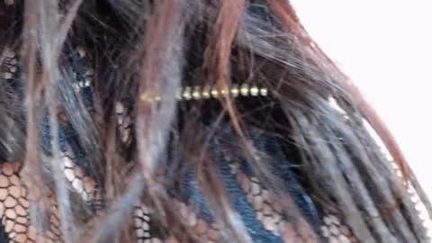 tinakay1 online show from December 17, 12:11 pm