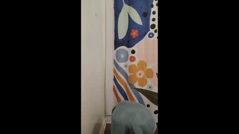 Snapshot of tj_the_man chatting on December 12, 10:52 pm TJ online show from December 12, 10:52 pm