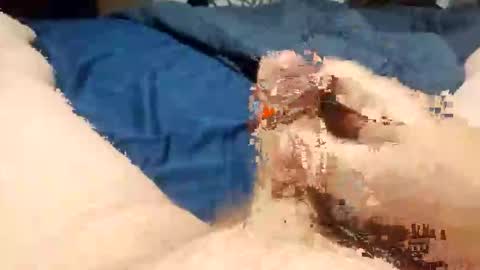 tnt8637 online show from November 25, 7:29 am