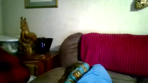 Vols online show from April 13, 5:44 am