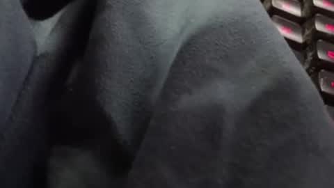 tonysafari online show from February 27, 1:38 pm