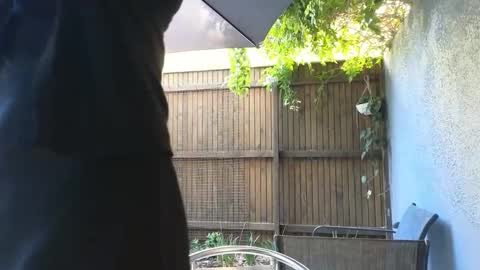 Topsy online show from March 21, 9:03 am