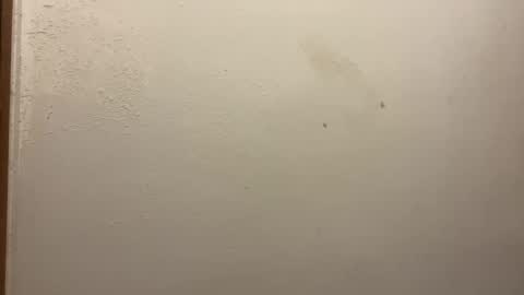 toronto5656 online show from February 5, 3:20 pm