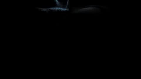 torrento642 online show from April 19, 1:17 am