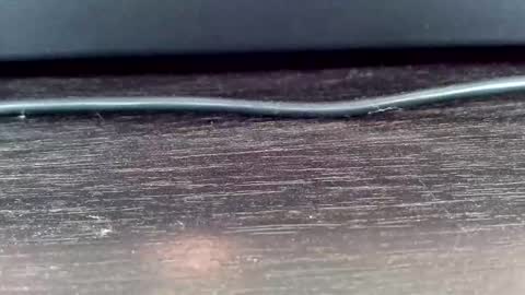 Vasiliy online show from February 24, 5:22 am