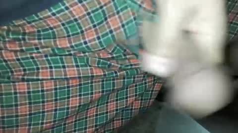 Snapshot of travelingmantla chatting on January 14, 7:06 am Daddy Edgalot online show from January 14, 7:06 am