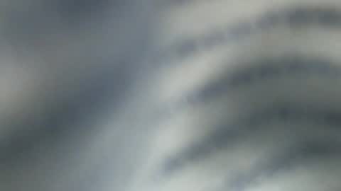 trexpo online show from February 16, 8:33 pm