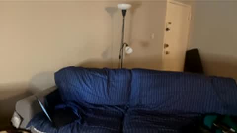 WapBopper online show from January 16, 11:58 pm