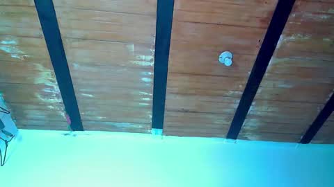 trix_ebony online show from November 3, 10:33 pm