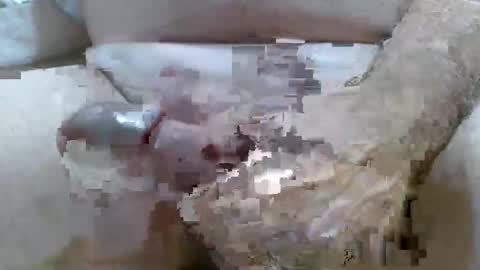 troy1965 online show from February 19, 6:01 am