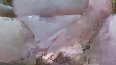 troy1965 online show from March 11, 6:30 am