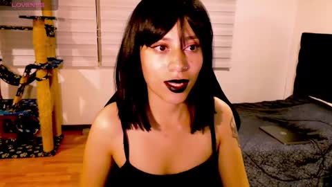 Cait online show from November 29, 7:27 am