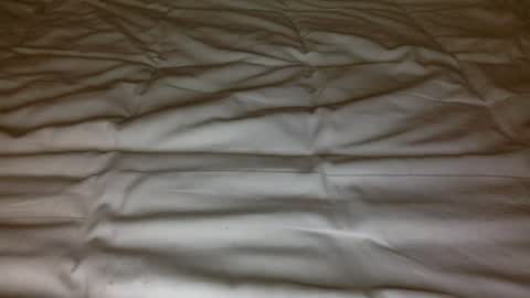 ttess0742 online show from July 31, 2:40 pm