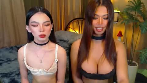 twinktransshanel online show from October 8, 5:02 am