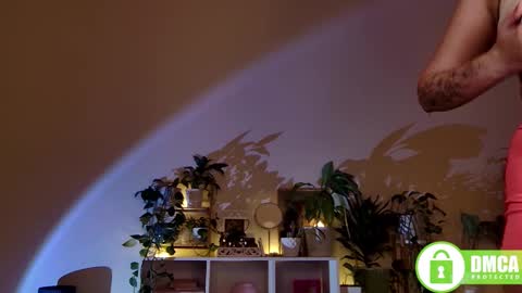 Snapshot of twix_girl chatting on December 2, 6:05 pm Stranger online show from December 2, 6:05 pm