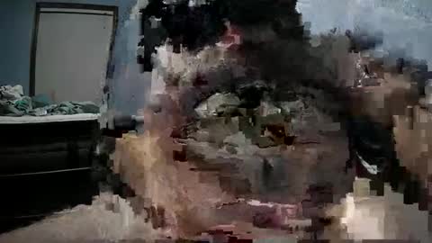 tylercoc6499 online show from February 10, 5:54 am