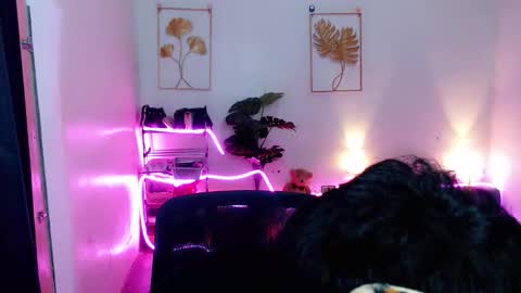 Bib online show from December 16, 6:20 am