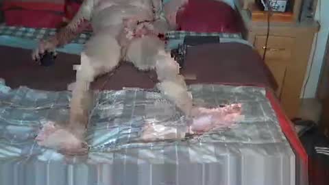 usednotbroken1 online show from October 27, 2:06 pm