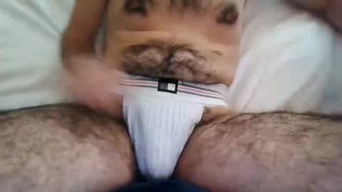 usergemini online show from February 11, 11:52 pm