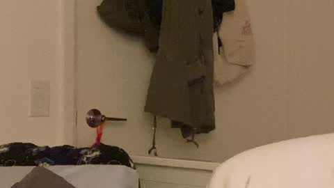 Vanessa  online show from December 24, 10:33 am