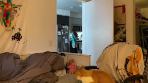 Vanessa  online show from January 4, 3:07 pm