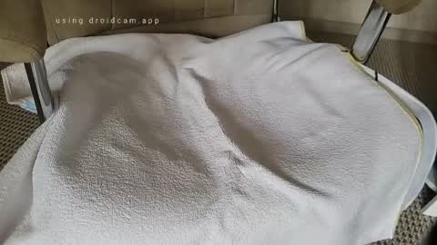 veiny_cock101 online show from September 26, 9:39 am