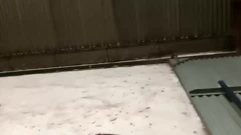 verdugo_32 online show from March 10, 9:18 pm