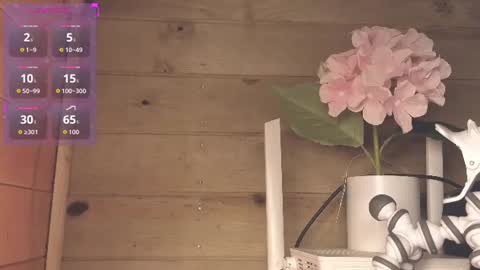 vickyvalencia2 online show from July 3, 3:33 am