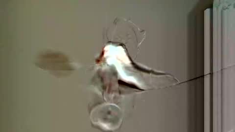  Tom reunz online show from September 14, 5:54 am