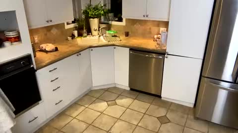 Vivlove online show from January 20, 11:35 am