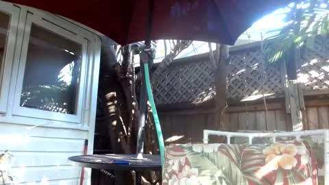 vtcd online show from February 6, 9:28 pm