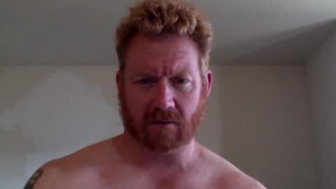 wadonis online show from November 15, 6:31 pm