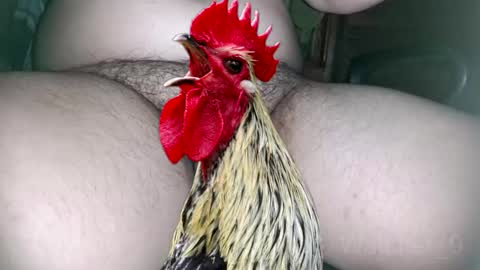 classified online show from November 12, 8:44 pm