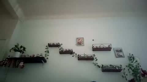 Warriors online show from December 11, 8:58 am