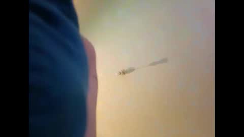 Warriors online show from December 17, 4:34 am