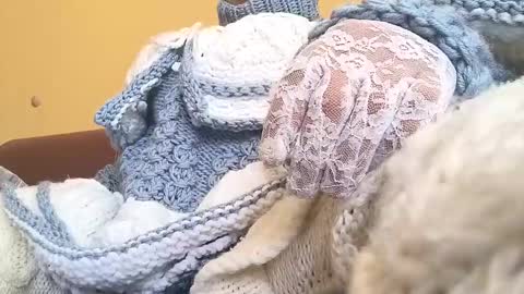 whitesweater online show from March 23, 6:40 am