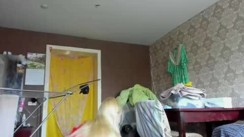 wildforestmuse  twitter online show from April 27, 6:00 am