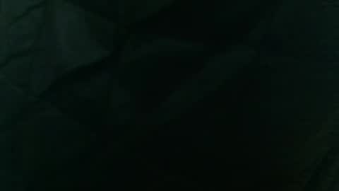 wildinwest online show from February 9, 7:34 am