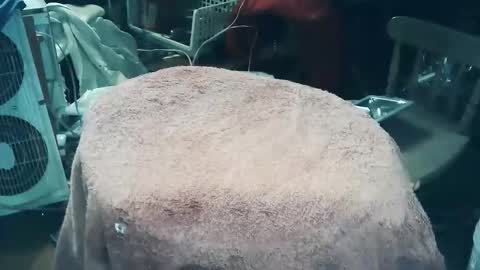 wildman6 online show from March 27, 7:48 pm