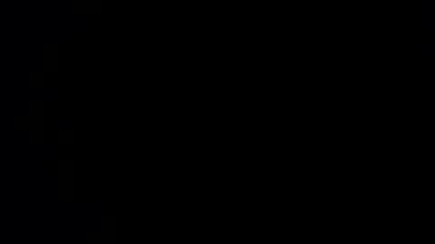 williewants online show from November 27, 10:45 am