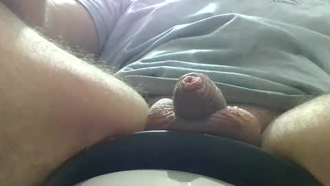 Snapshot of windowpane5 chatting on February 1, 2:16 am windowpane online show from February 1, 2:16 am