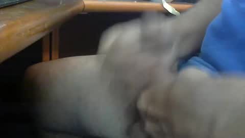 Wineman88886 online show from March 21, 5:06 pm