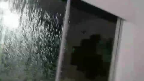 Alex online show from November 9, 2:15 am