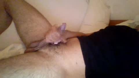 wolfylatinoplayfull online show from August 10, 12:26 am